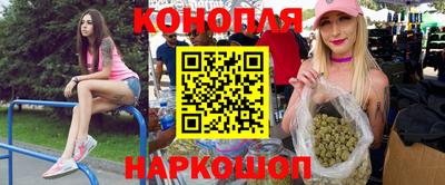 сатива Сланцы