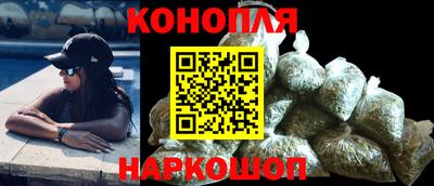 шишки Славгород