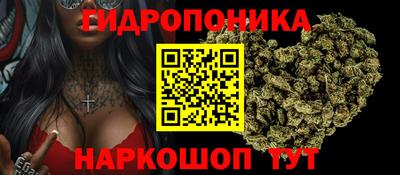 шишки Славгород