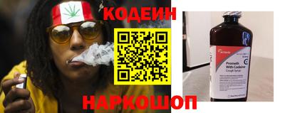 шишки Славгород