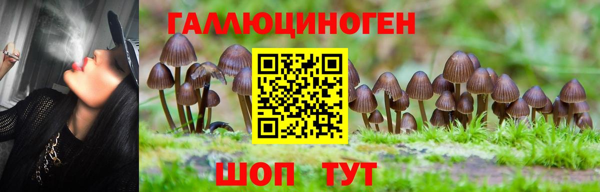 Осинники  Галлюциногенные грибы MAGIC MUSHROOMS  Вход с VPN 